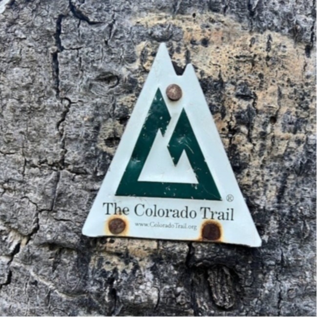 Colorado Trail Tree Blaze 